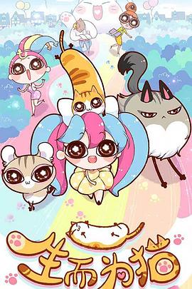 网站权重优化公司排名